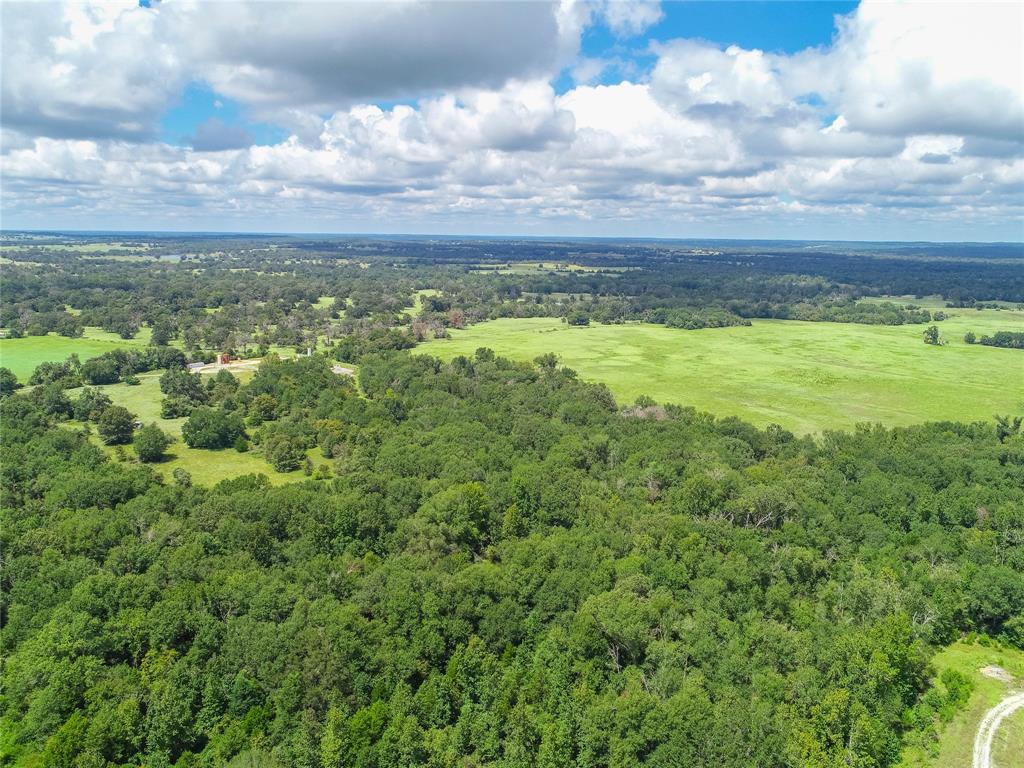 0000 Tbd County, Oakwood, Texas image 12