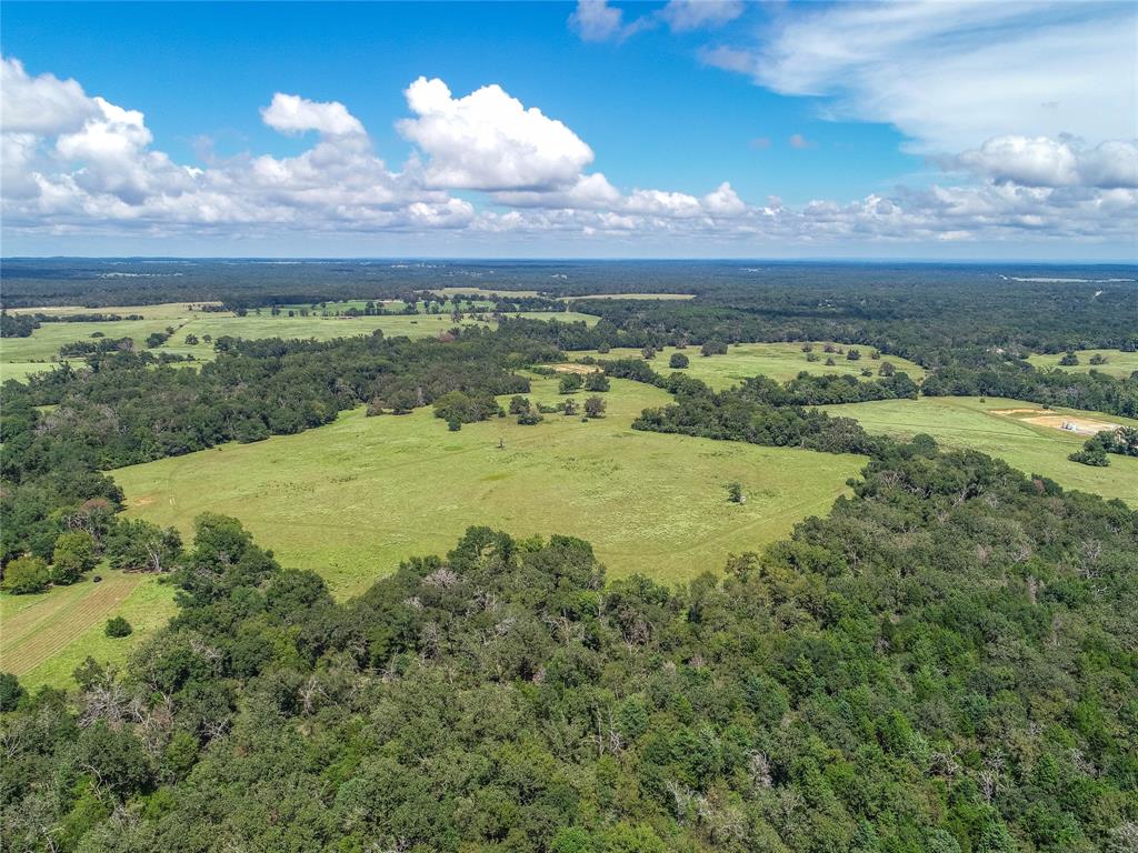 0000 Tbd County, Oakwood, Texas image 18