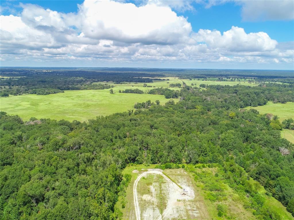 0000 Tbd County, Oakwood, Texas image 10