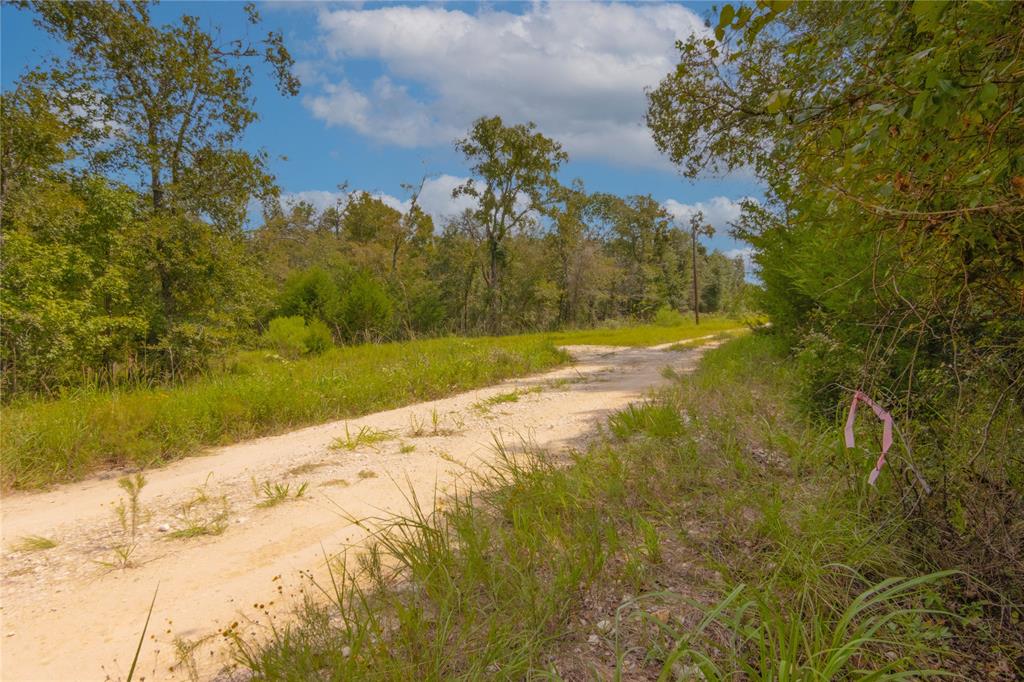 0000 Tbd County, Oakwood, Texas image 32