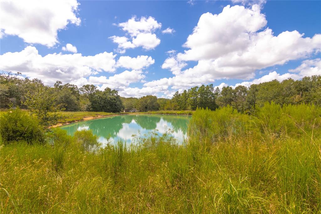 0000 Tbd County, Oakwood, Texas image 42