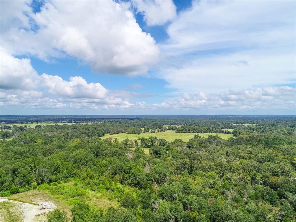 0000 Tbd County, Oakwood, Texas image 7