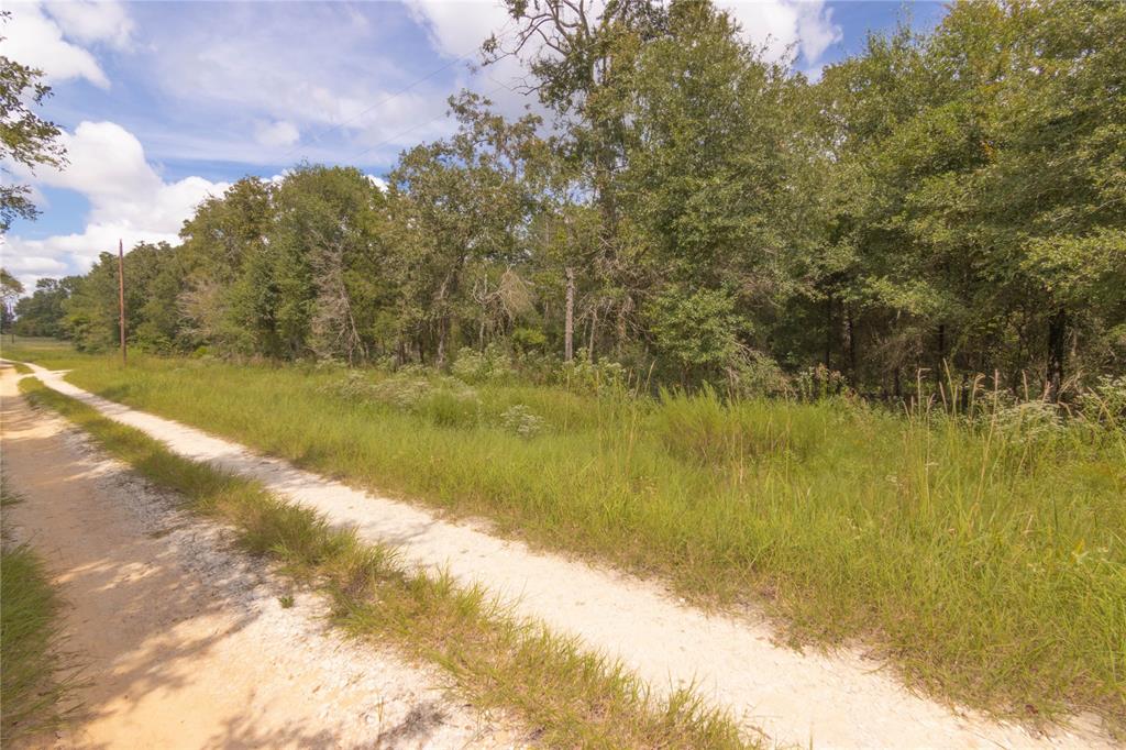 0000 Tbd County, Oakwood, Texas image 35