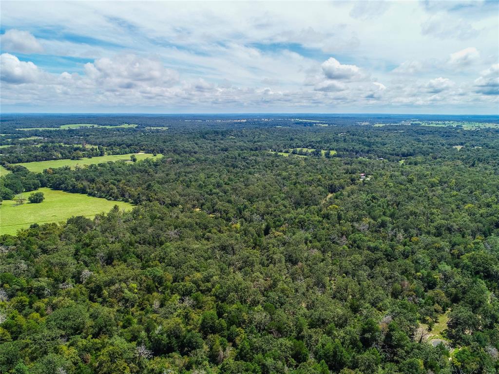 0000 Tbd County, Oakwood, Texas image 20