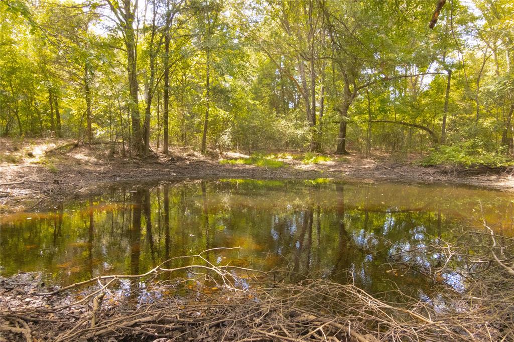 0000 Tbd County, Oakwood, Texas image 23