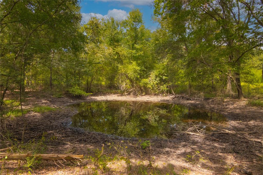 0000 Tbd County, Oakwood, Texas image 22