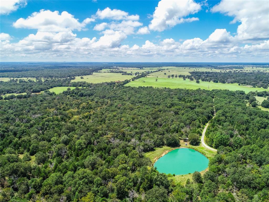 0000 Tbd County, Oakwood, Texas image 4