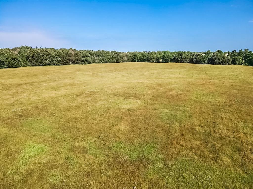 TBD County Road 741, Teague, Texas image 6