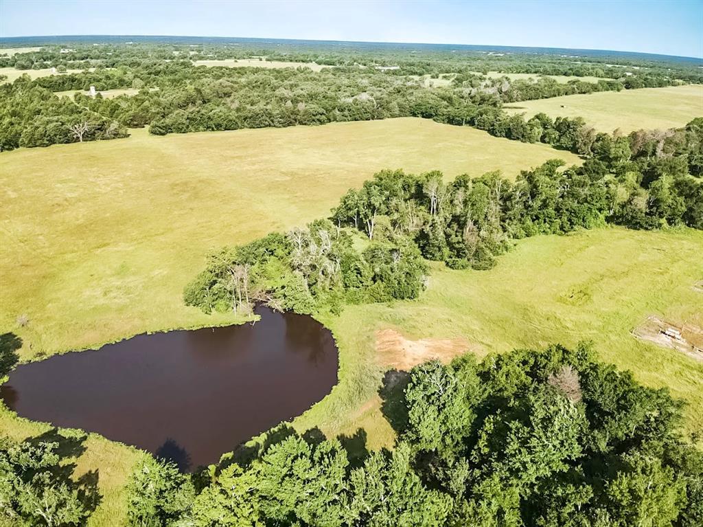 TBD County Road 741, Teague, Texas image 8