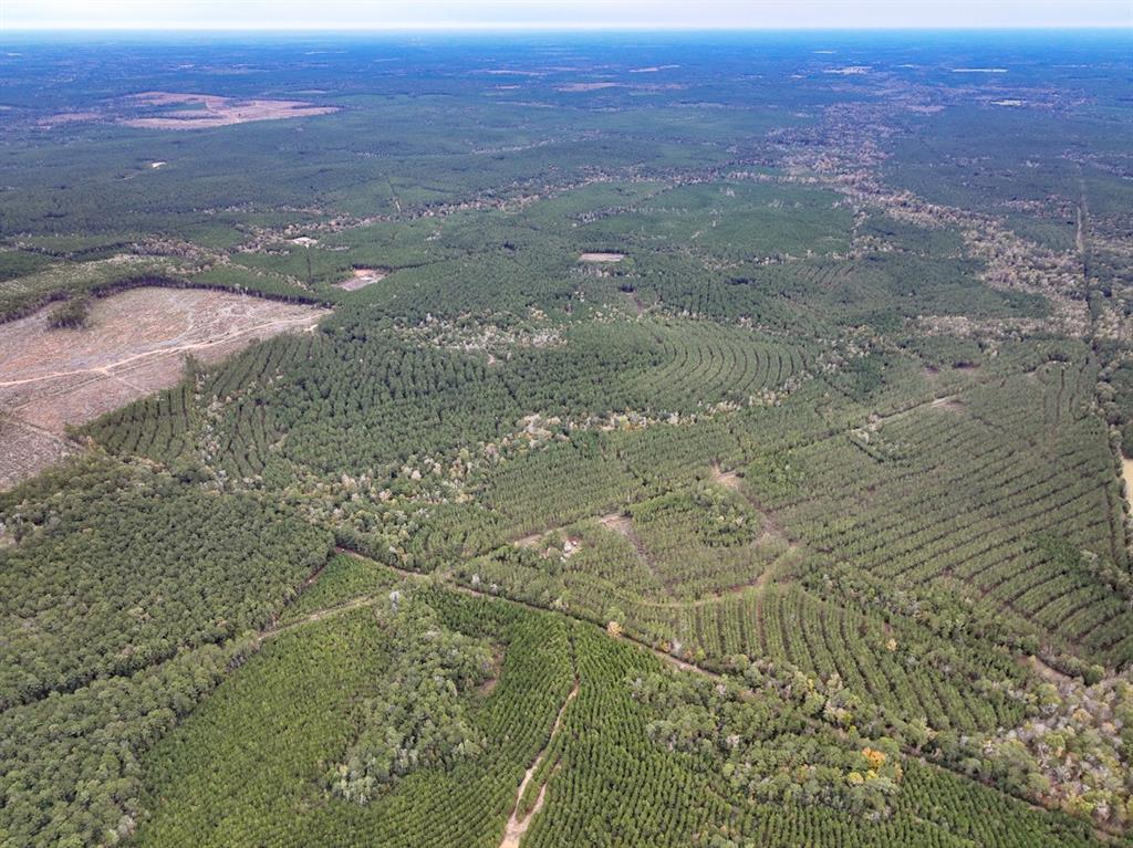 Off Fm 1746, Woodville, Texas image 3