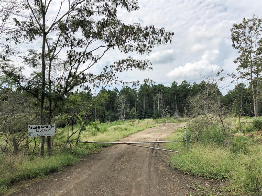 Off Fm 1746, Woodville, Texas image 5