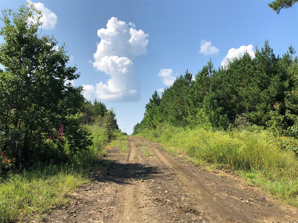 Off Fm 1746, Woodville, Texas image 1