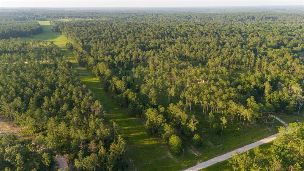 TBD Aggie Avenue, Livingston, Texas image 4