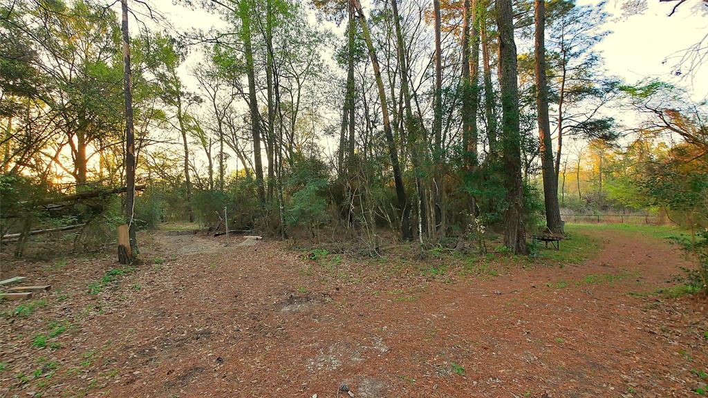 23478 Bays Chapel Road, Richardson, Texas image 46