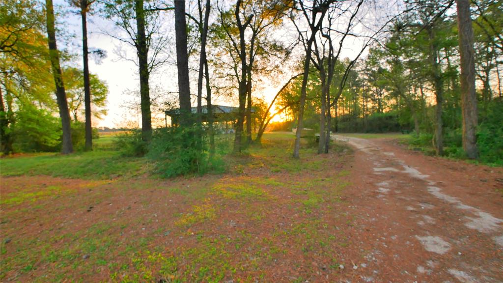 23478 Bays Chapel Road, Richardson, Texas image 47