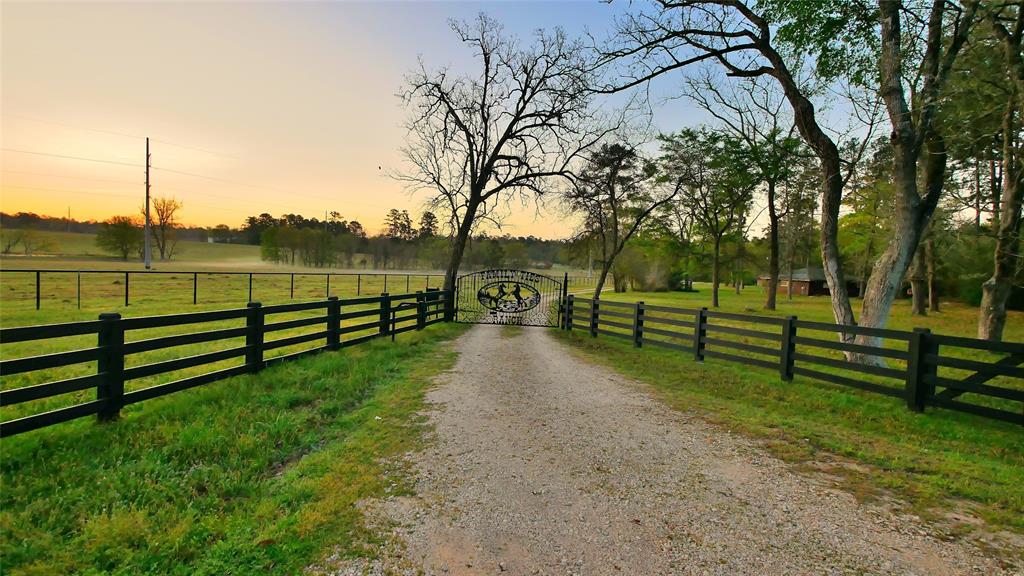 23478 Bays Chapel Road, Richardson, Texas image 7