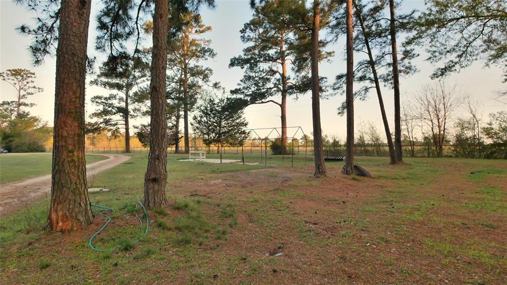 23478 Bays Chapel Road, Richardson, Texas image 45