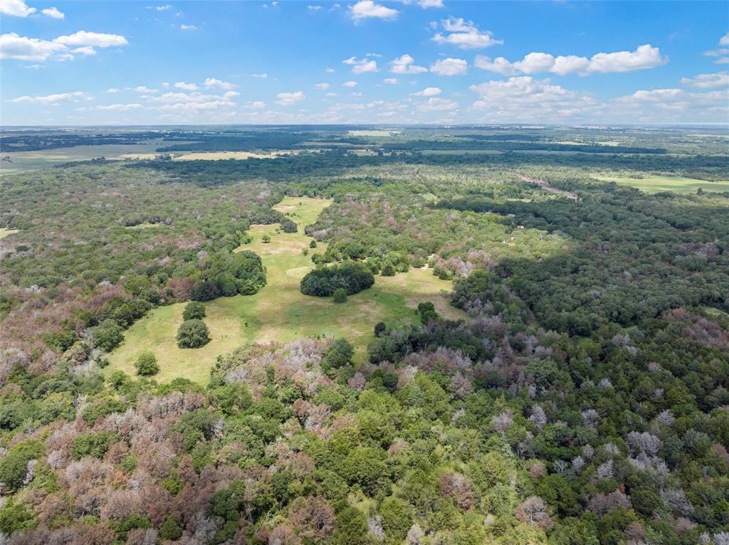 1455 Lcr 374, Groesbeck, Texas image 4