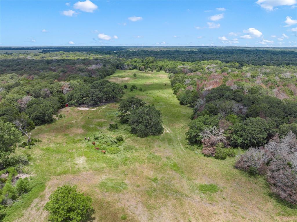 1455 Lcr 374, Groesbeck, Texas image 8