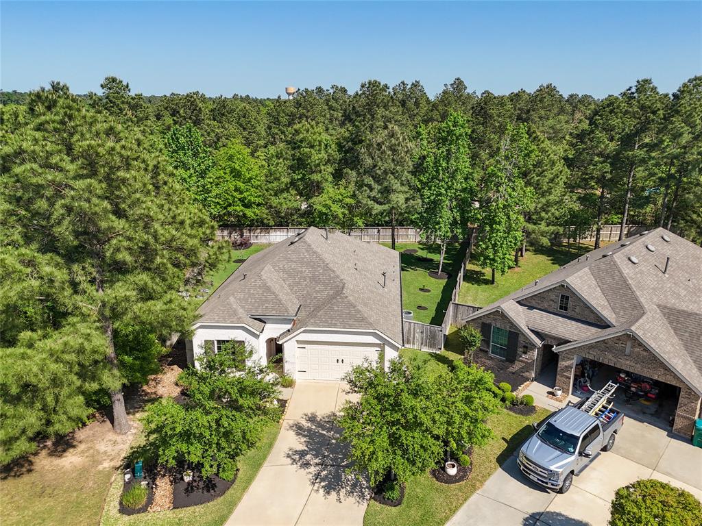 203 Black Hickory Court, Montgomery, Texas image 5