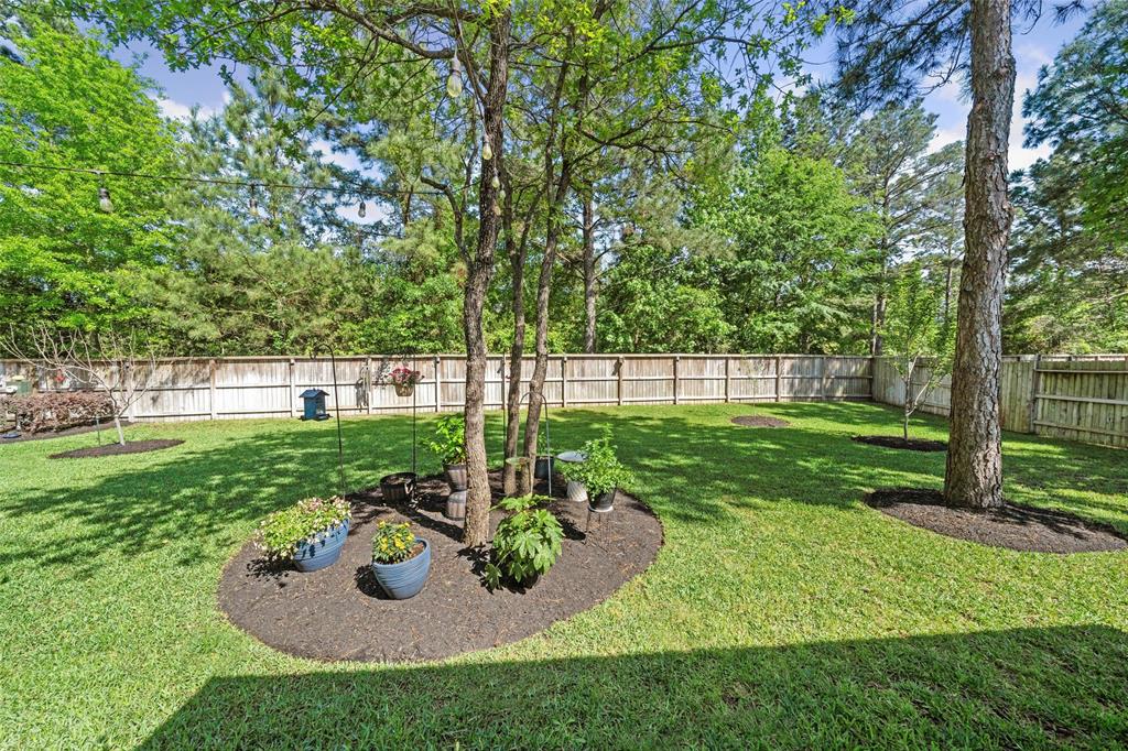 203 Black Hickory Court, Montgomery, Texas image 31