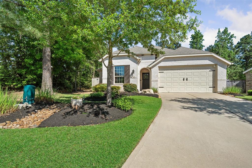 203 Black Hickory Court, Montgomery, Texas image 4