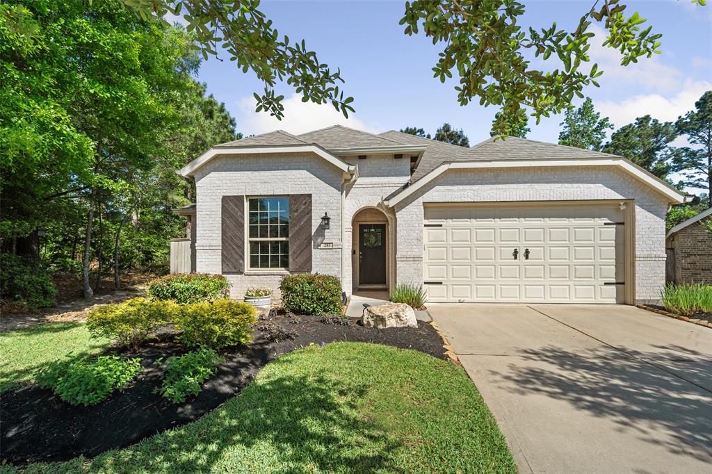 203 Black Hickory Court, Montgomery, Texas image 3