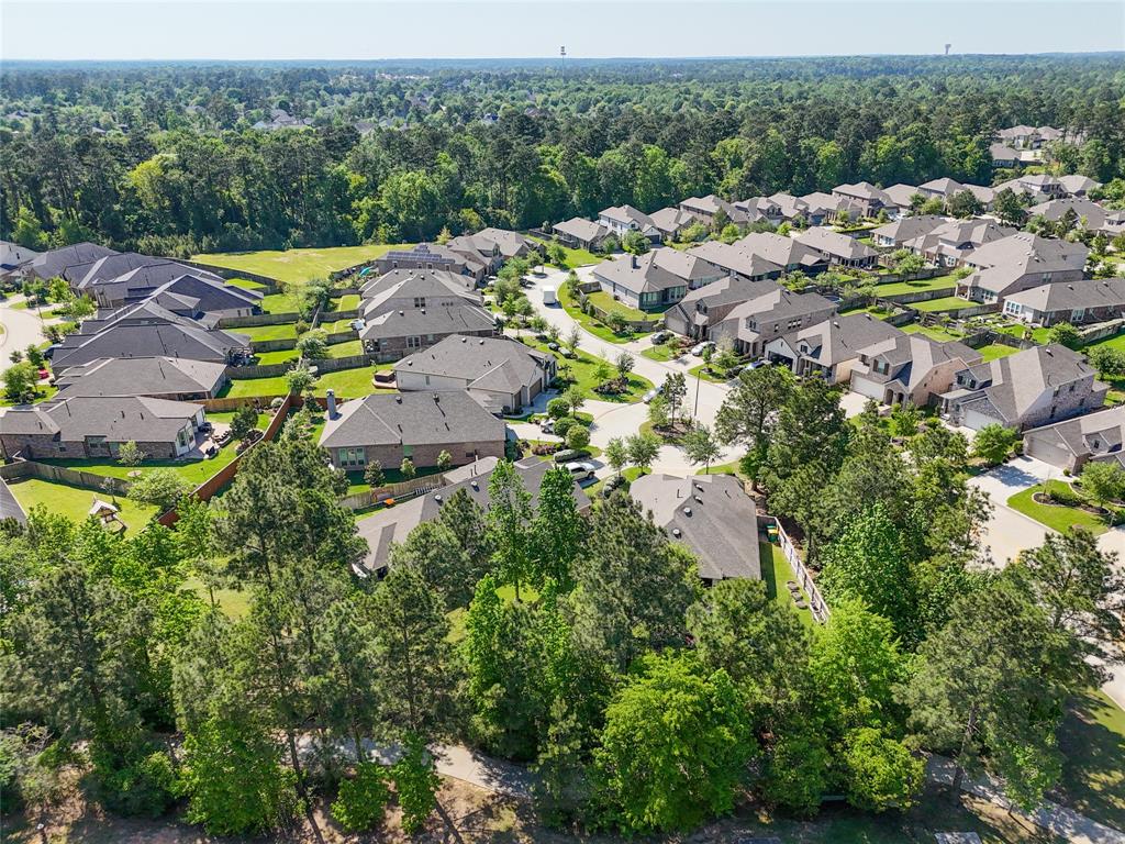 203 Black Hickory Court, Montgomery, Texas image 34