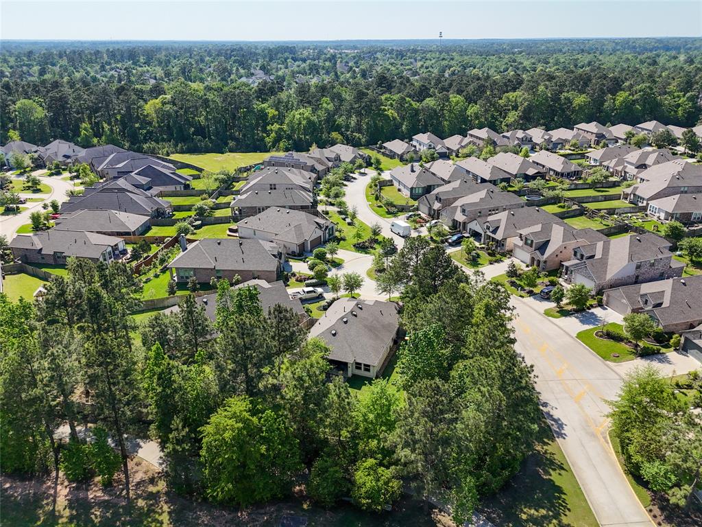 203 Black Hickory Court, Montgomery, Texas image 33