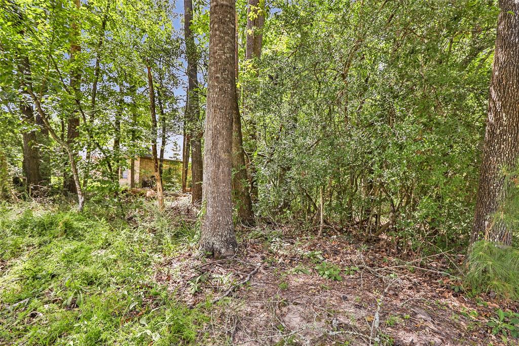 18334 Steele Point Drive