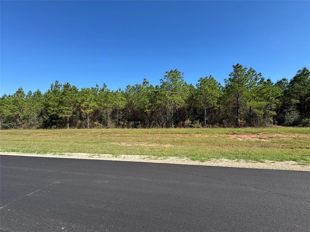16222 Ridge Oak Road, Willis, Texas image 12