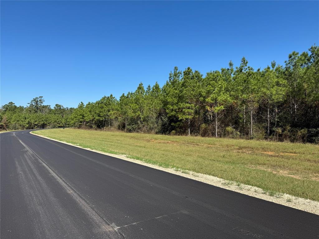 16222 Ridge Oak Road, Willis, Texas image 14