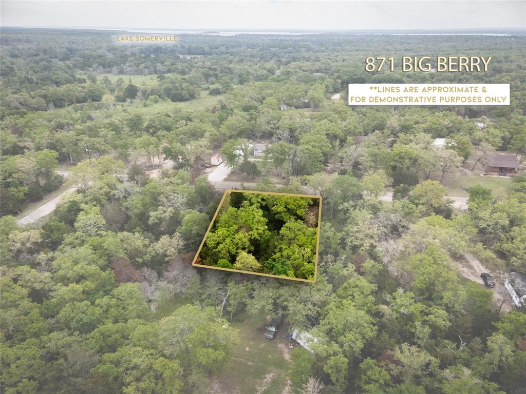 871 Big Berry Road, Somerville, Texas image 8