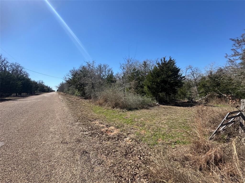 871 Big Berry Road, Somerville, Texas image 21