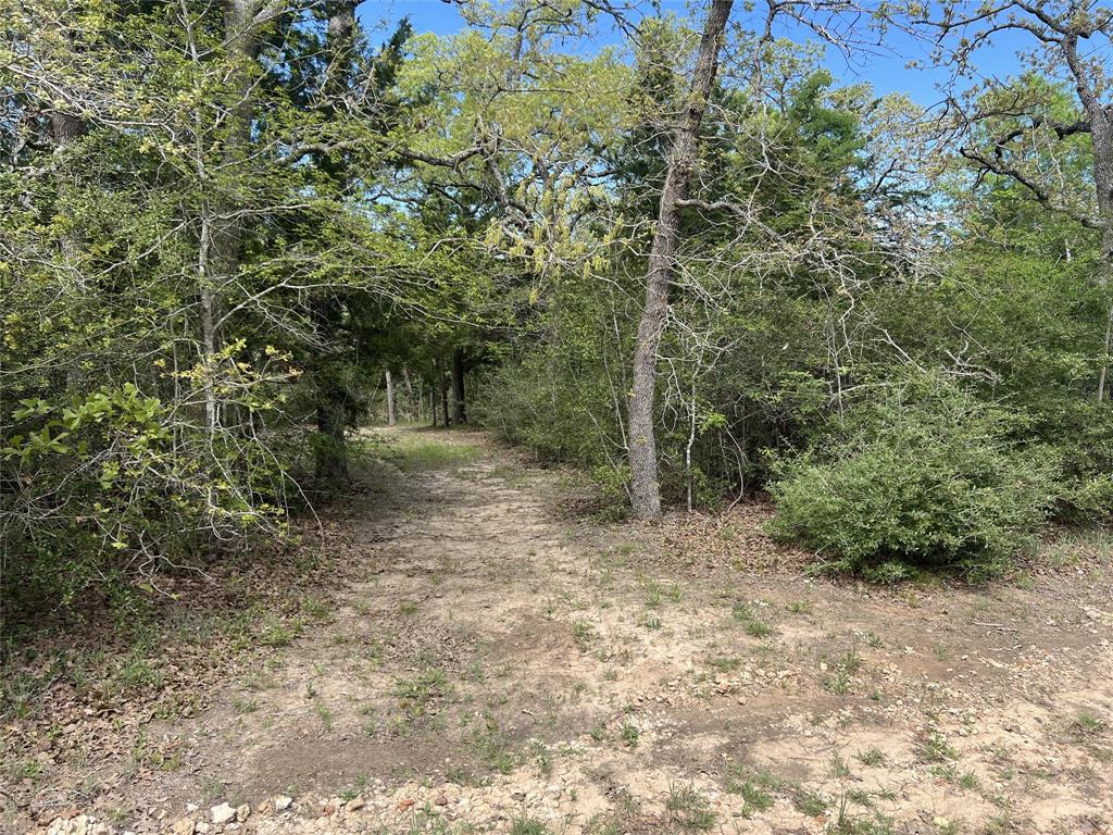 871 Big Berry Road, Somerville, Texas image 19