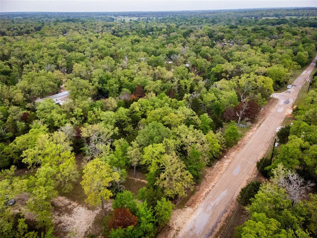 871 Big Berry Road, Somerville, Texas image 15