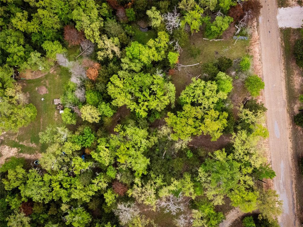 871 Big Berry Road, Somerville, Texas image 17