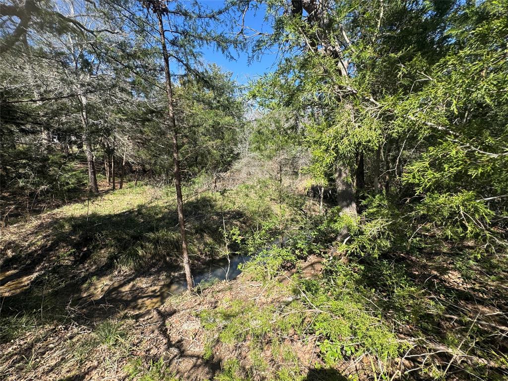 871 Big Berry Road, Somerville, Texas image 18