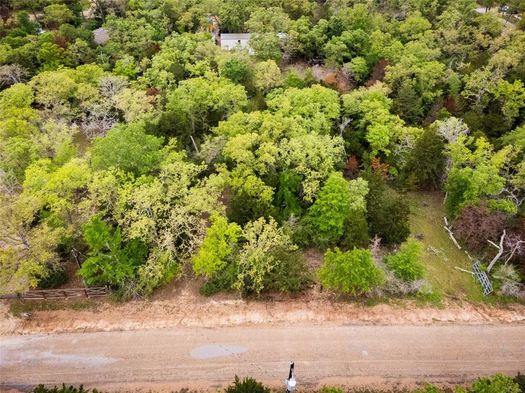 871 Big Berry Road, Somerville, Texas image 1
