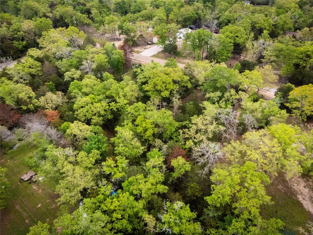 871 Big Berry Road, Somerville, Texas image 12