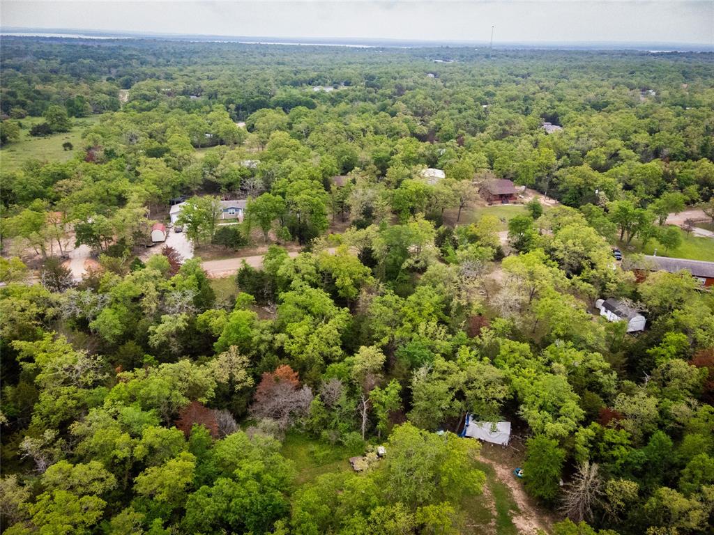 871 Big Berry Road, Somerville, Texas image 6