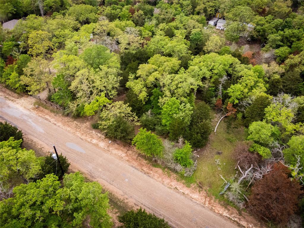 871 Big Berry Road, Somerville, Texas image 3