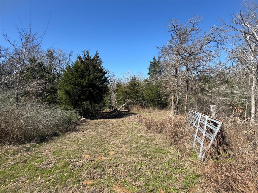 871 Big Berry Road, Somerville, Texas image 22