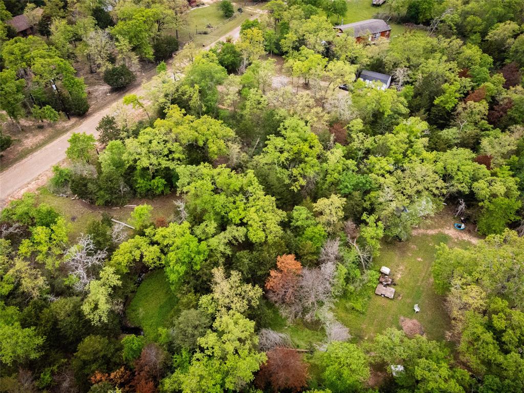 871 Big Berry Road, Somerville, Texas image 5