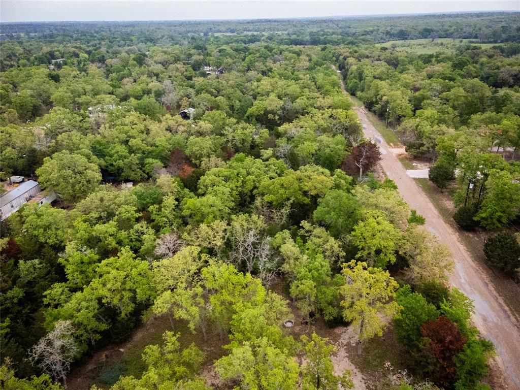 871 Big Berry Road, Somerville, Texas image 14