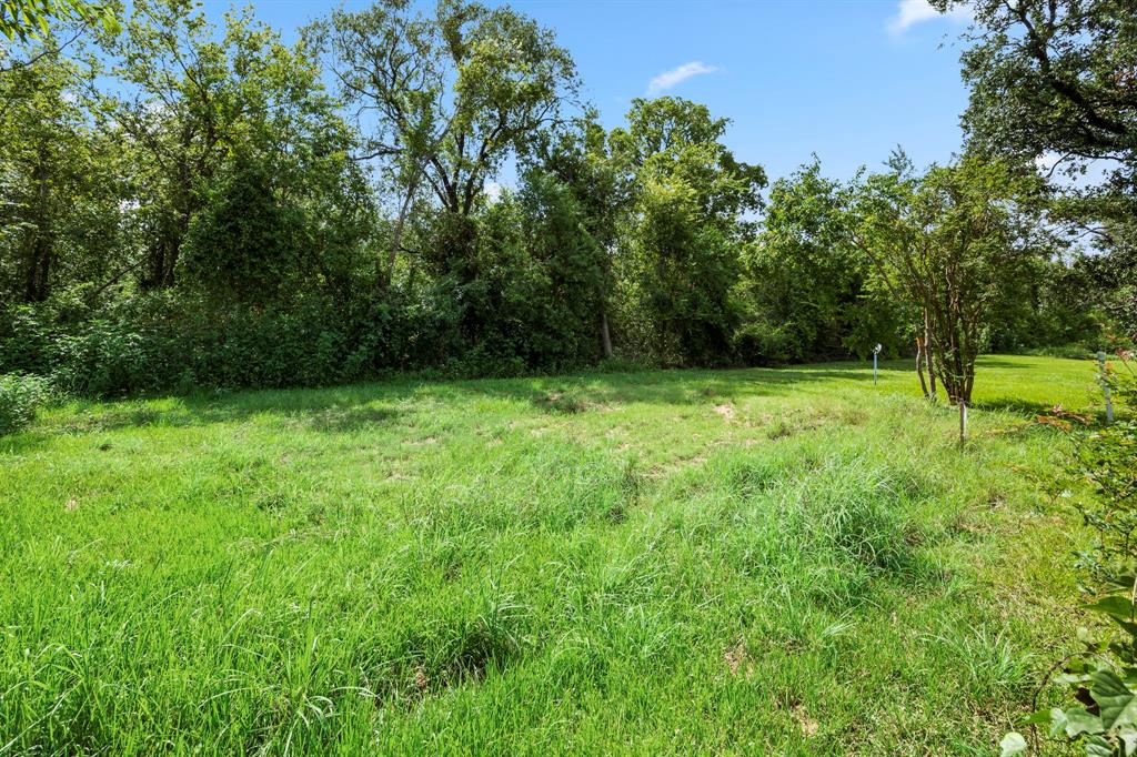 12337 Kayla Lane, Houston, Texas image 24