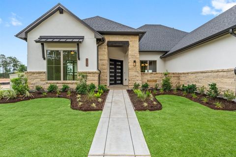 Single Family Residence in Magnolia TX 123 Shoveler Duck Way 1.jpg