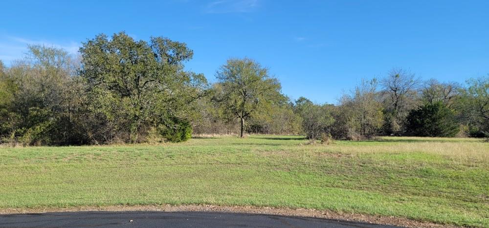 7050 Lake Vista Drive, Streetman, Texas image 3