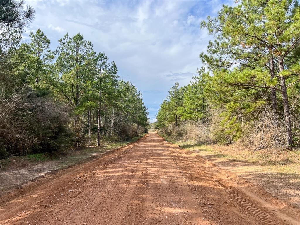 9 Tuckers Place, Livingston, Texas image 6