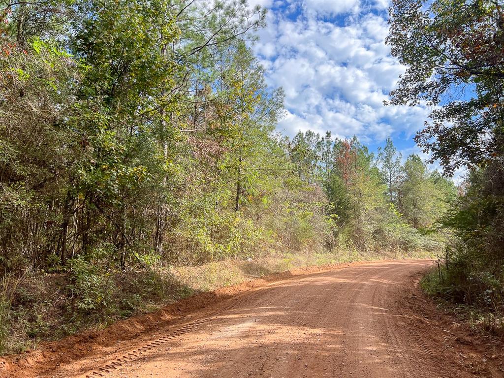 9 Tuckers Place, Livingston, Texas image 8